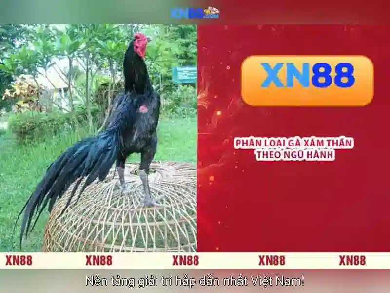 Các tính năng nổi bật Các tính năng nổi bật