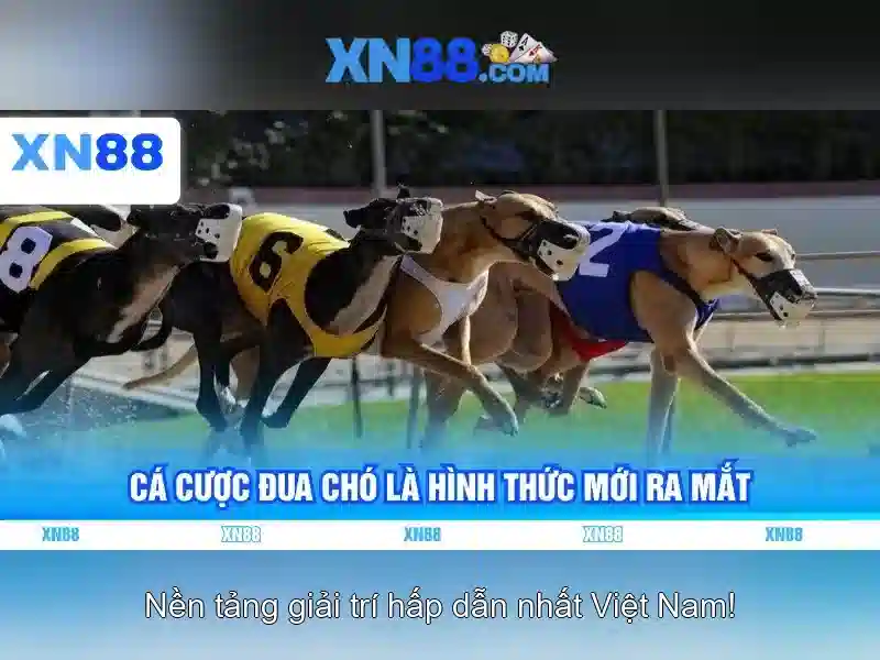 Đăng Nhập