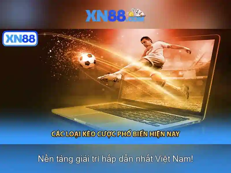 Xn88: Tổng quan về nền tảng và cộng đồng Go88